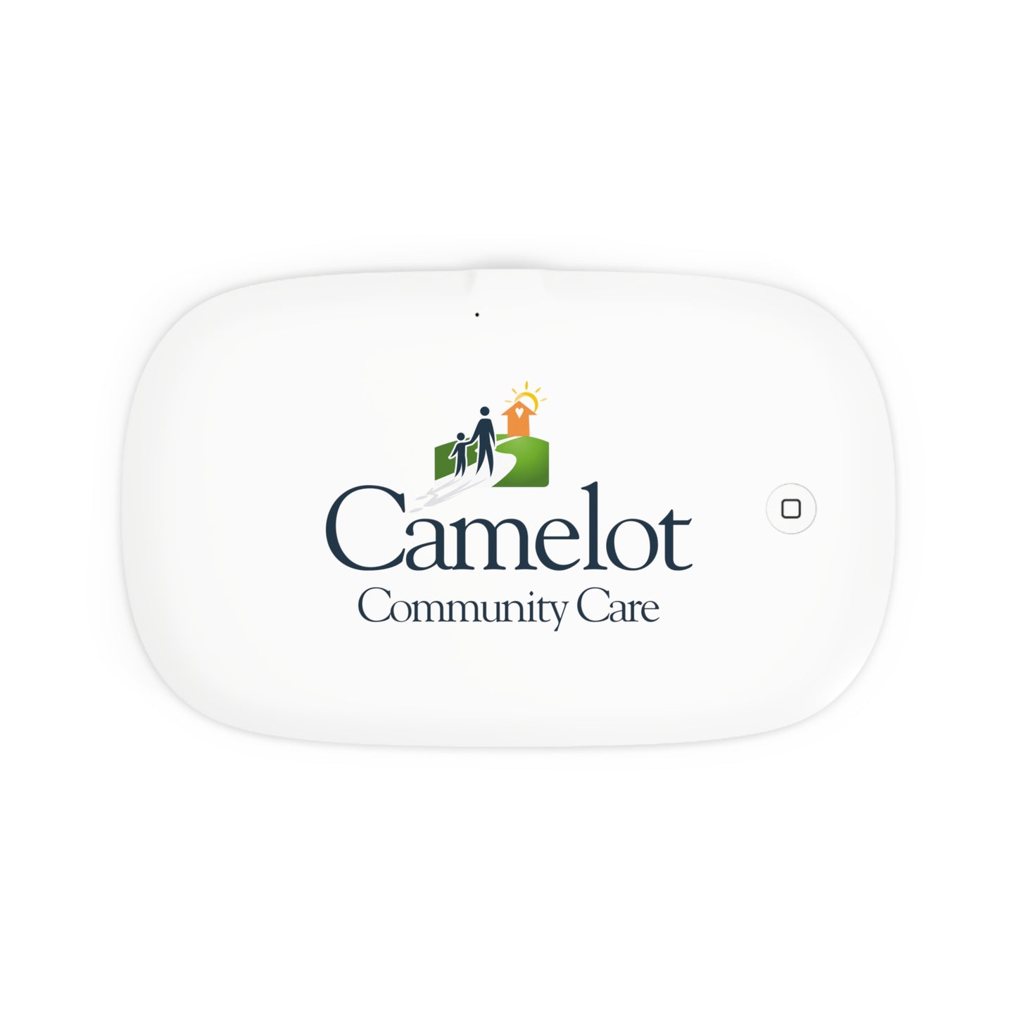 UV Phone Sanitizer and Wireless Charging Pad