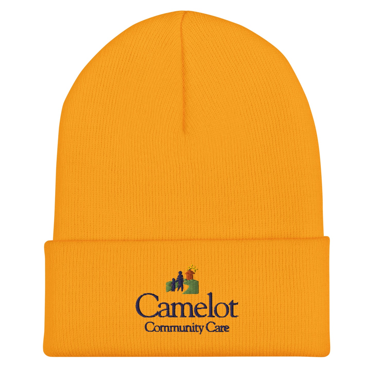 Winter Beanie